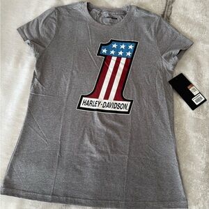 Harley-Davidson Gray Graphic T-Shirt